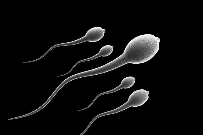A potentially groundbreaking discovery revealed that human sperm violates one of Newton's law of motion
