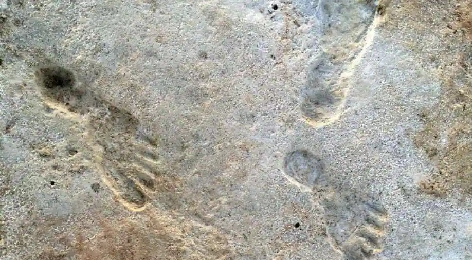 Ice Age footprints