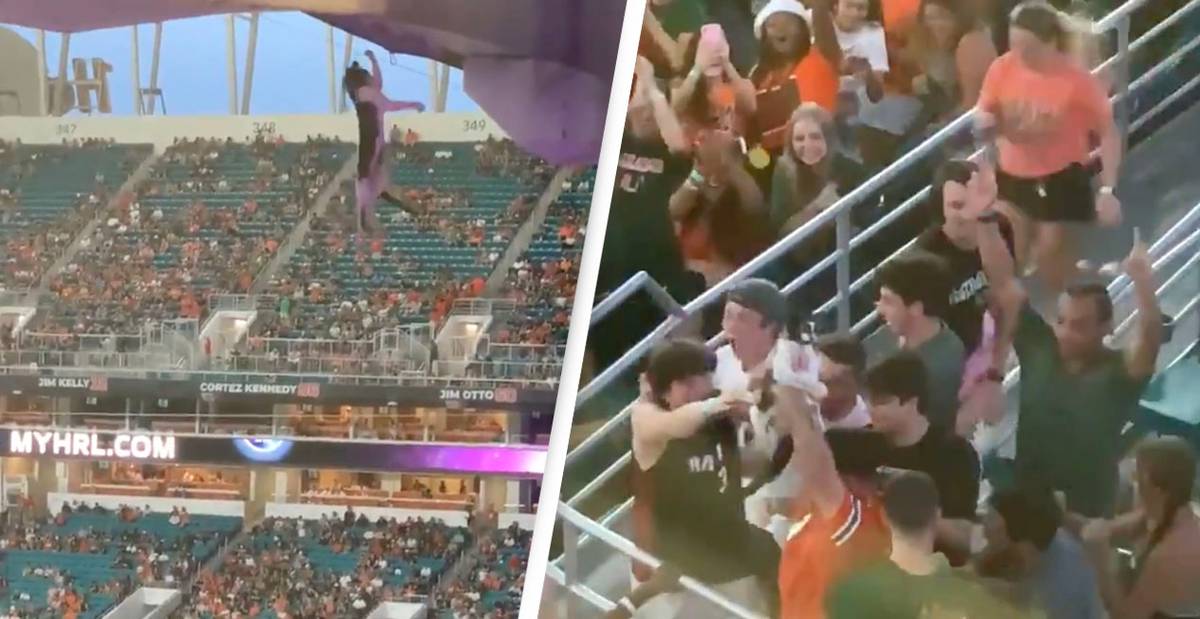 Watch video: Spectators save cat falling from the upper story at US stadium