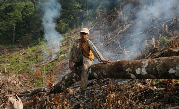 Amazon rainforest facebook