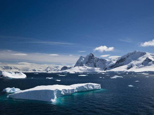 Antartica Forest Fire