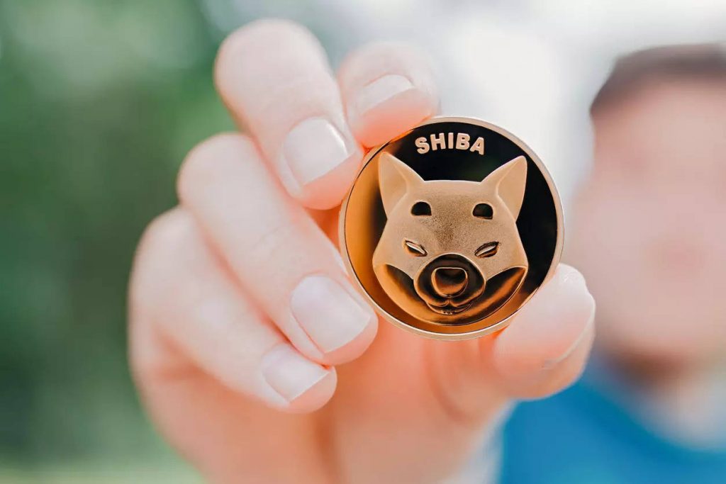 Shiba Inu coin