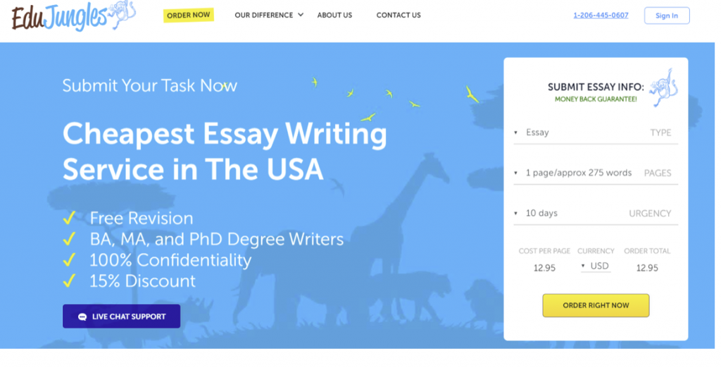 essay writing service usa