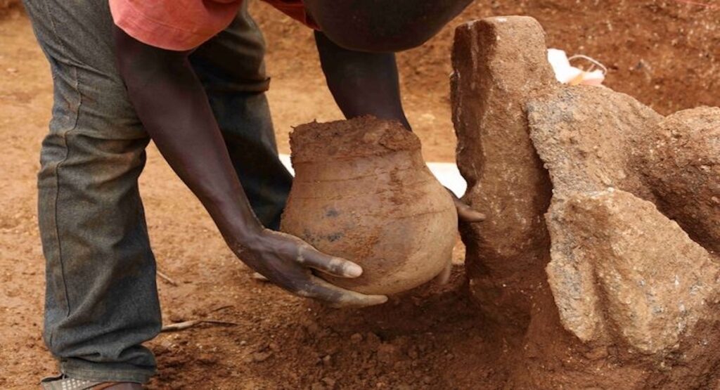 Cooked leafy green vegetables first served 3,500 years ago: Study