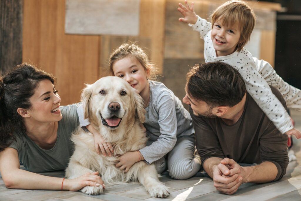 spain pet family members