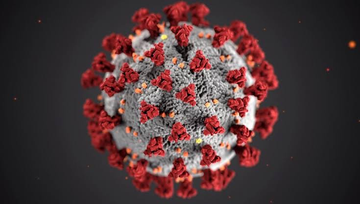 coronavirus