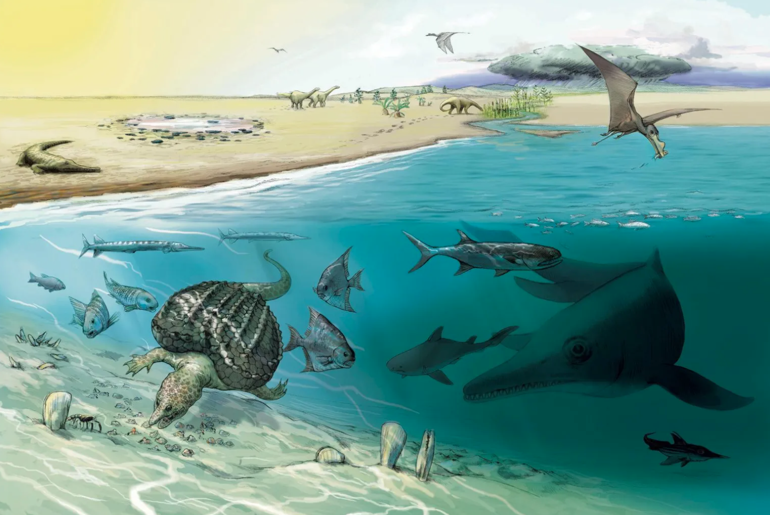 Largest Ichthyosaur Tooth On Earth Discovered In Swiss Alps | BreezyScroll