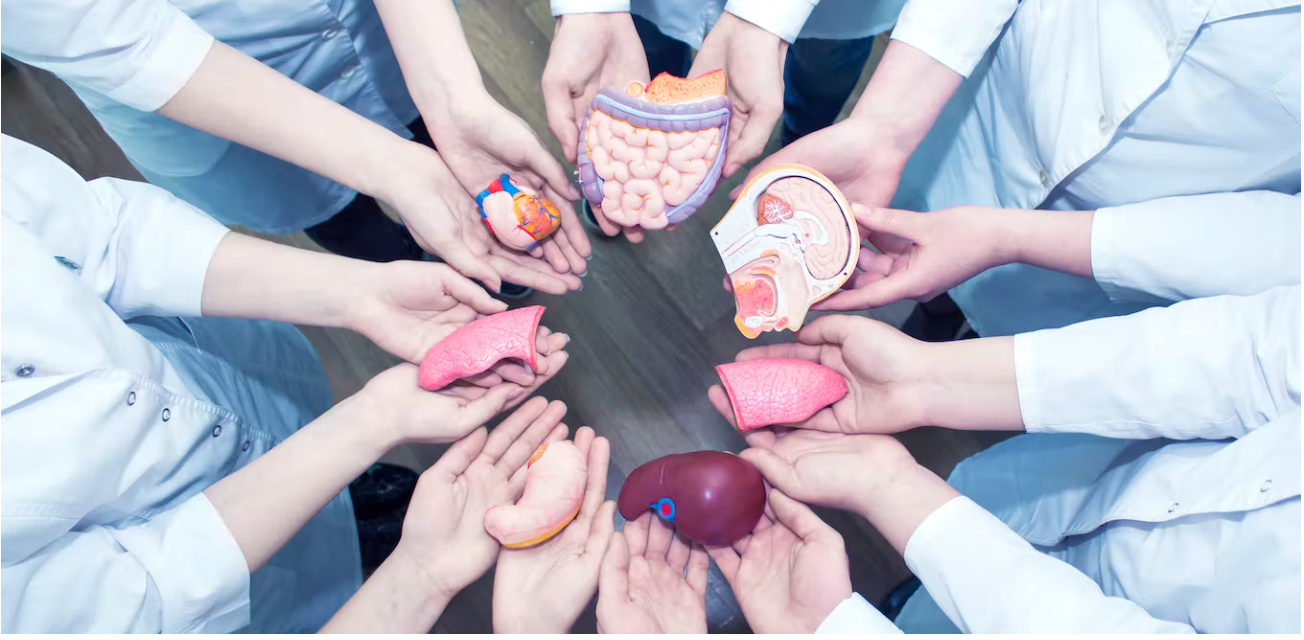 Milestone alert: The US records 1 millionth organ transplant