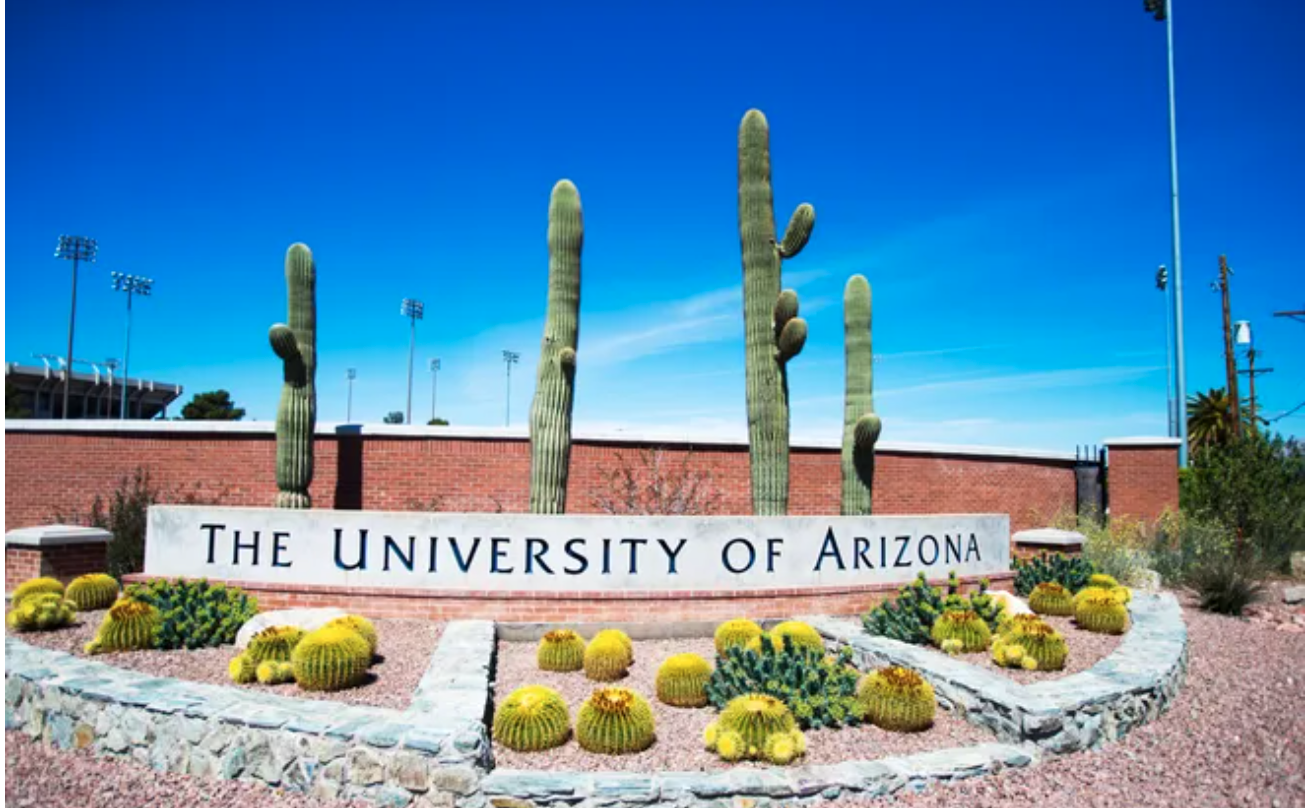 University of Arizona professor shot dead on campus, suspect in custody ...