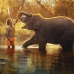 ‘The Elephant Whisperers’: How and where to watch Oscar-winning film