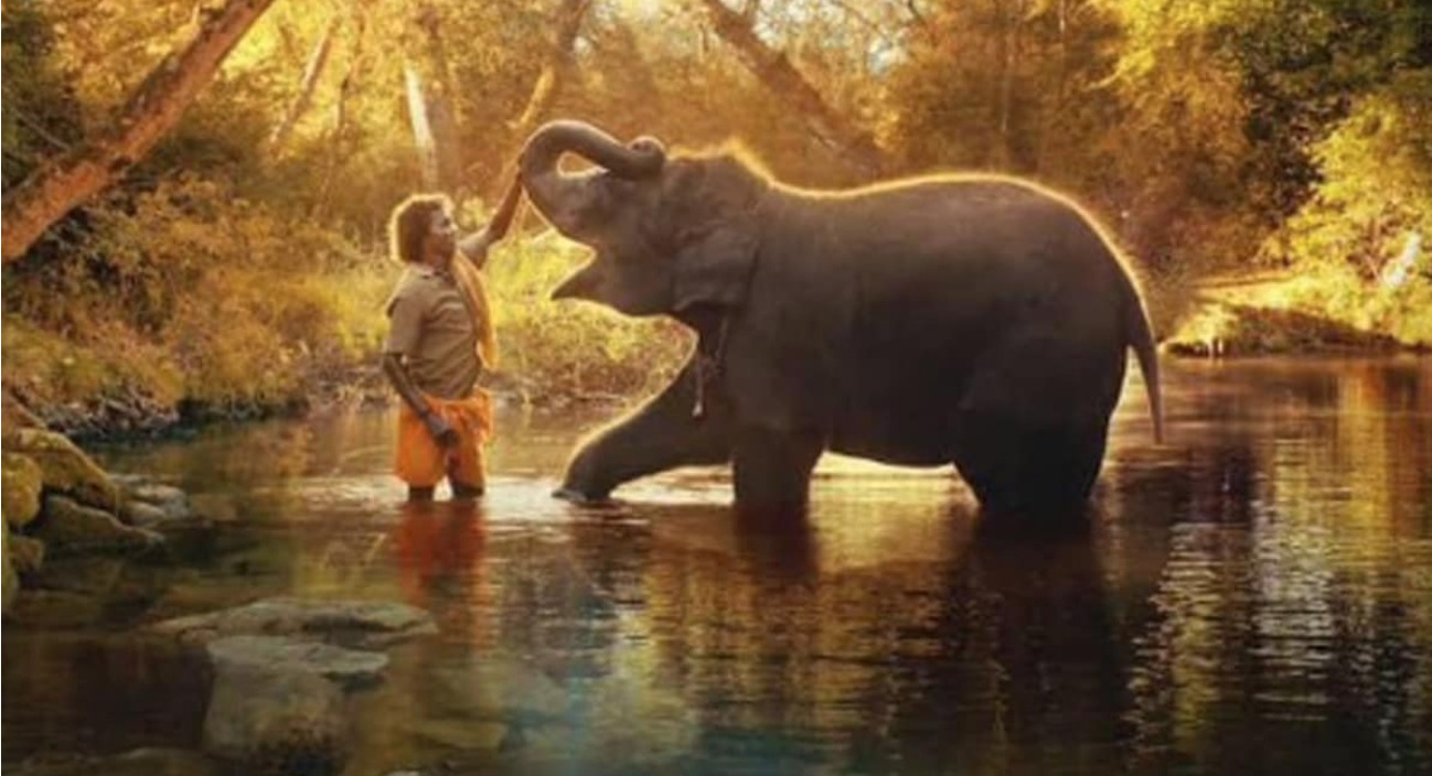 ‘The Elephant Whisperers’: How and where to watch Oscar-winning film