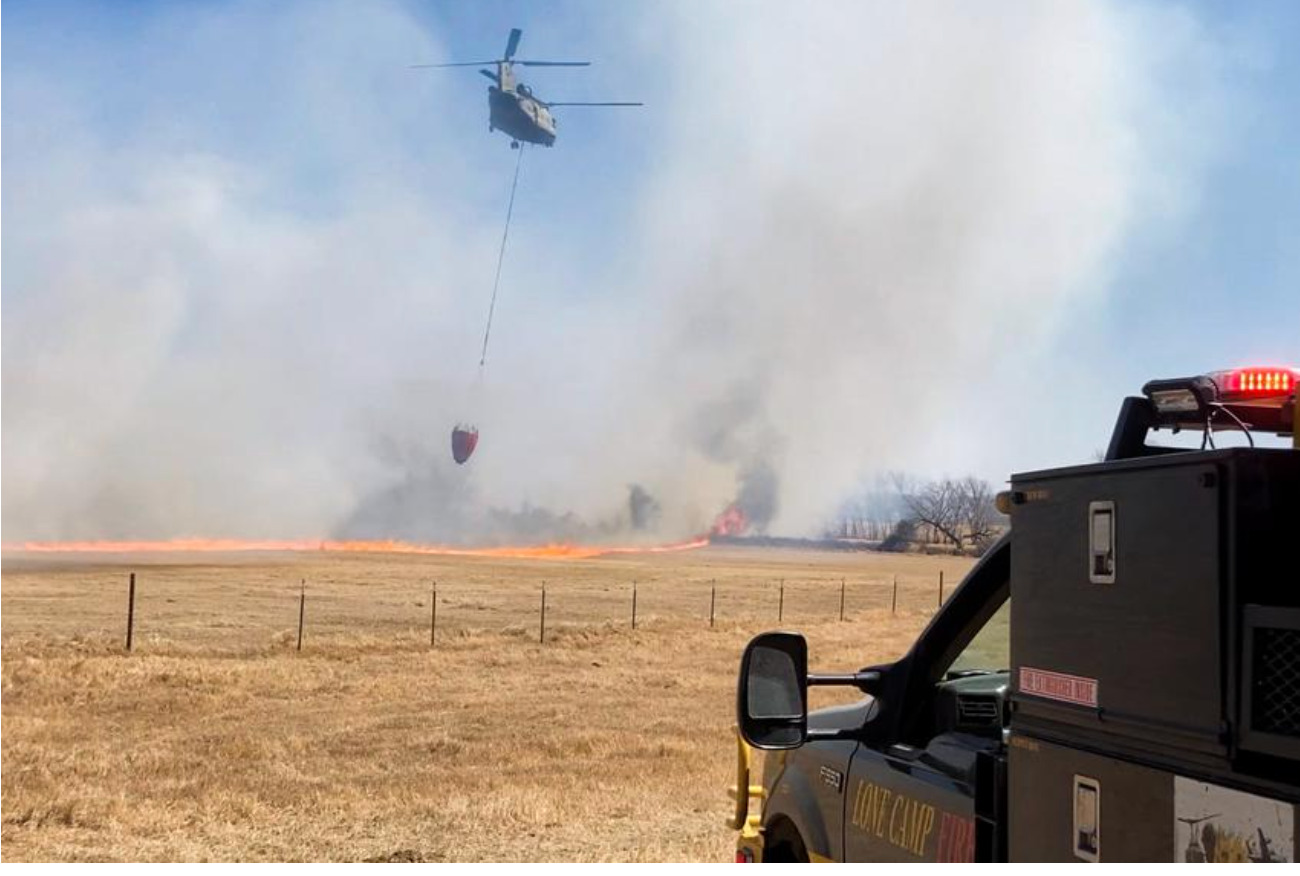 18,000 cattle killed: Fire at Texas dairy farm may be largest cattle ...