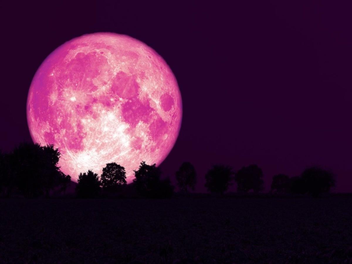 Pink Moon April 2023 History, significance, and watching TrendRadars