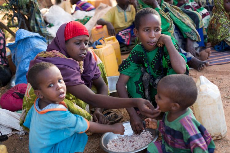 With 735 million people hungry, world "off track" to meet 2030 goal: UN