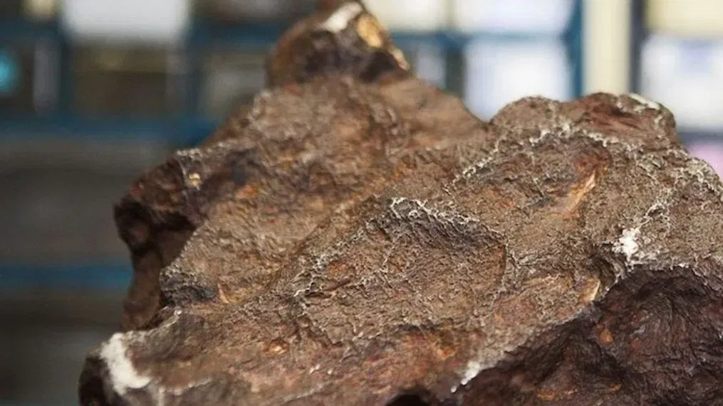 Michigan: Rock used as doorstop for 30 years turns out to be meteorite worth $100K