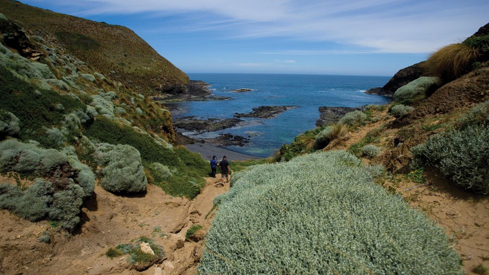 Cape Grim: This Remote peninsula has the cleanest air on earth