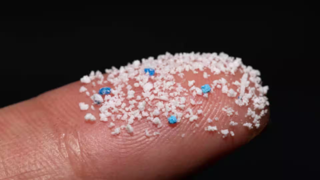 Microplastics infiltrate every organ, study in mice shows