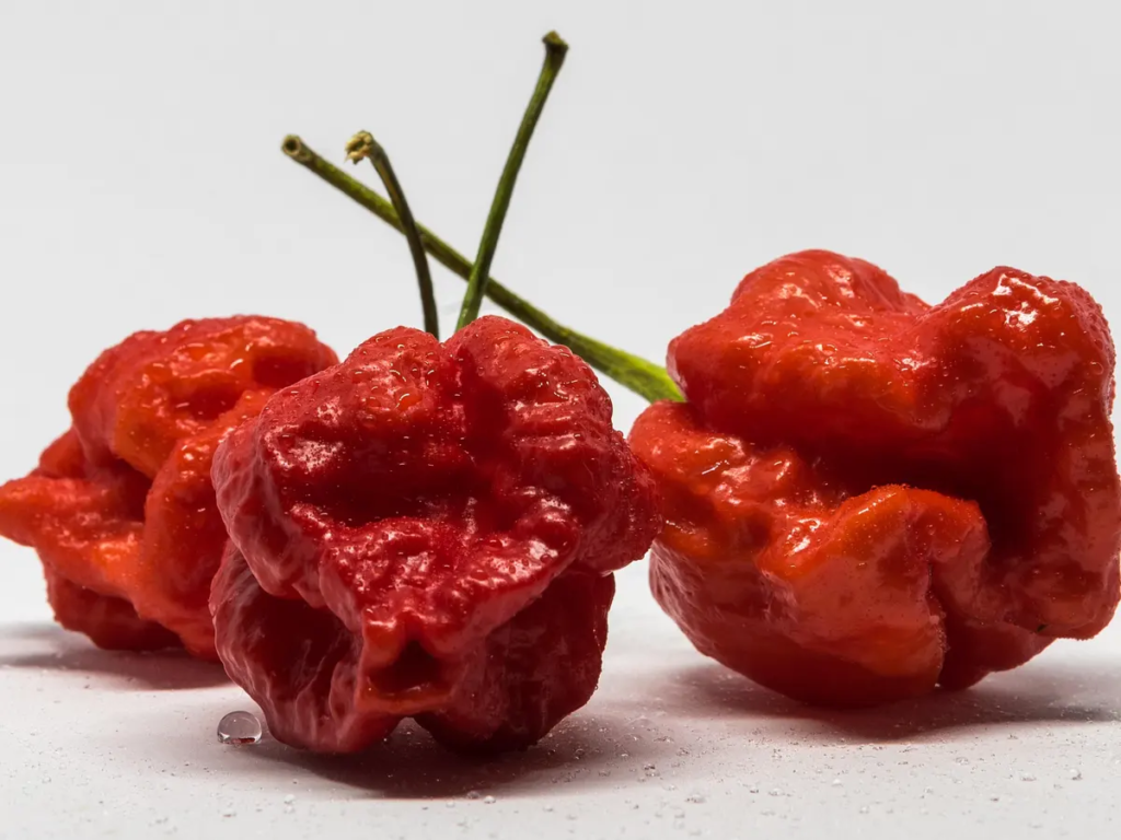 "Pepper X" sets new record as world's hottest pepper, three times hotter than Carolina reaper