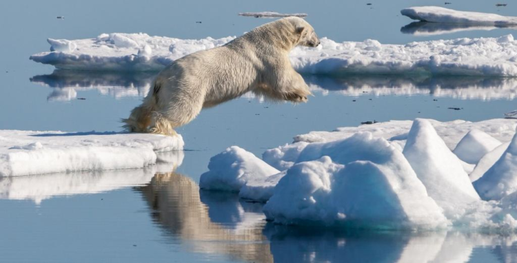 First Ice Arctic's first ice-free summer day predicted within a decade, study ...