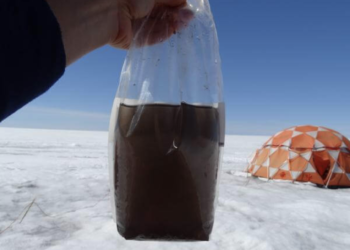 Biologists discover giant viruses in samples from Greenland ice sheet, may slow the melting caused by global warming