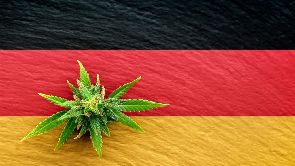 Germany approves limited cannabis use before driving, faces criticism