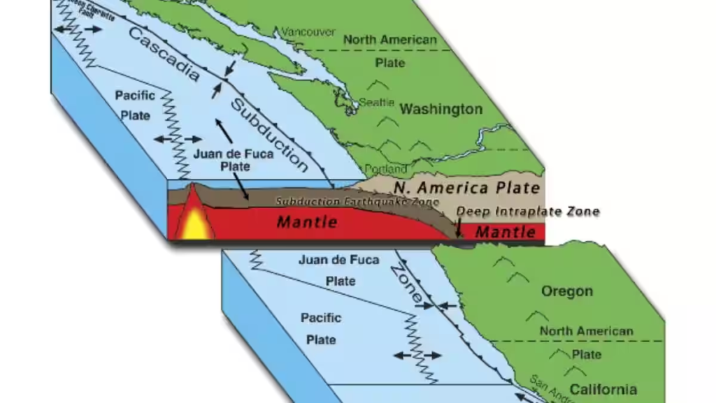 Study identifies Washington and Vancouver Island as future epicentres of Cascadian earthquakes