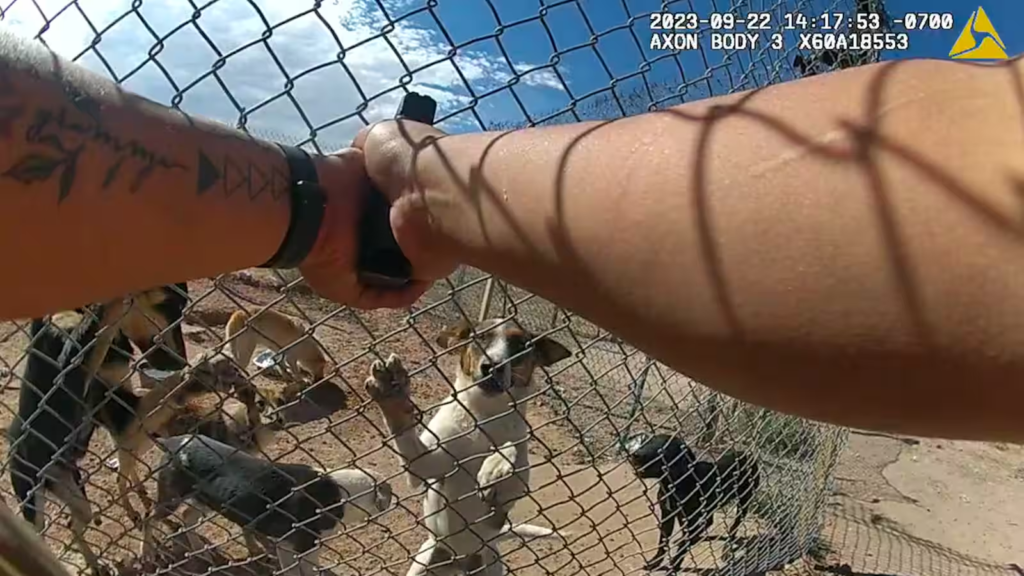 Arizona: Body-cam shows Apache County deputy shooting, killing abandoned dogs