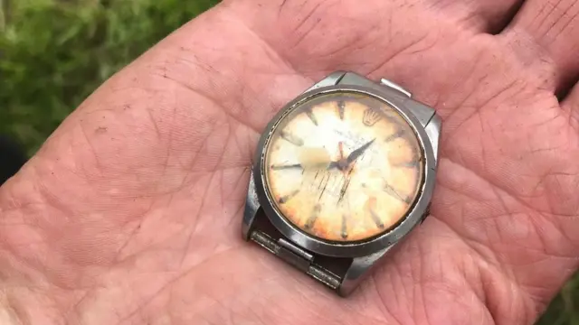 UK: Rolex watch "eaten" by cow recovered after 50 years