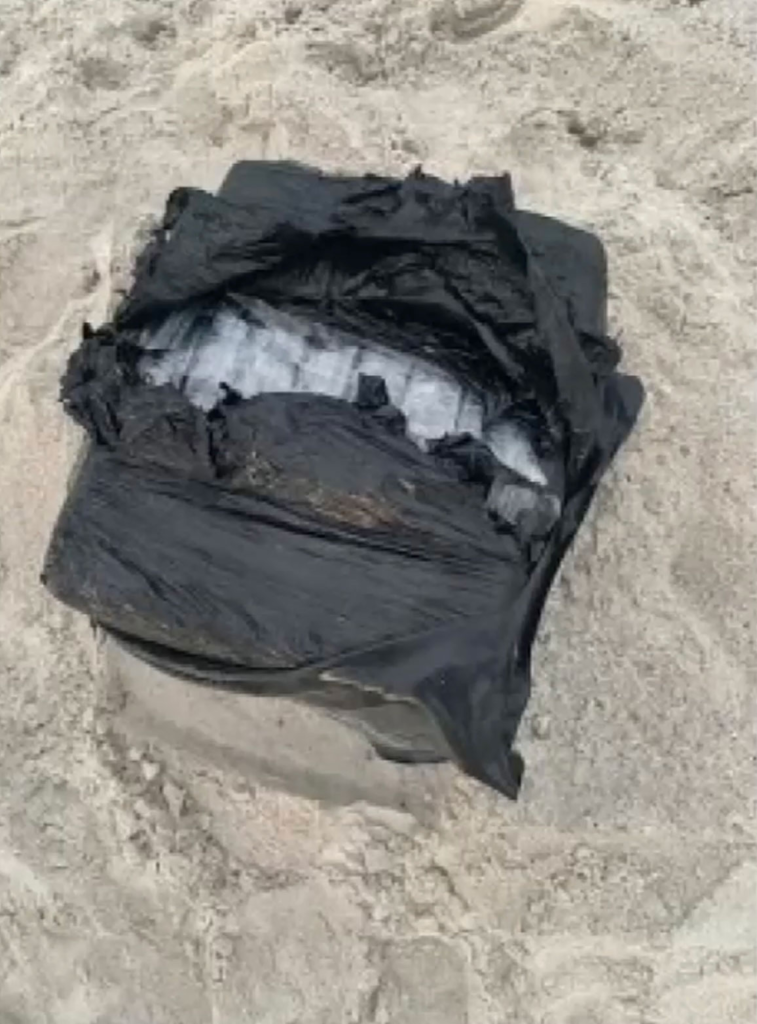 Nassau County, Florida: Man finds $4 million worth of cocaine while looking for sea turtle nests on Amelia Island beach