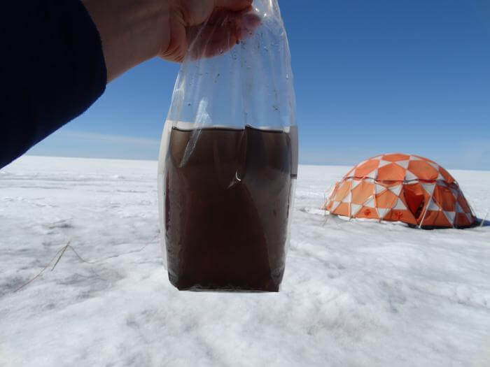 Biologists discover giant viruses in samples from Greenland ice sheet, may slow the melting caused by global warming