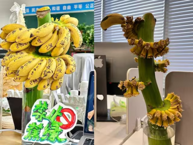Chinese employees are growing bananas on desks to deal with office stress