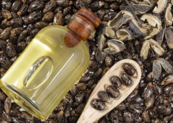 TikTok Trend 'Castor Oil' Raises Health Concerns