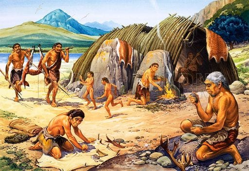 What did Stone Age humans eat? New study sheds light on human diets back then