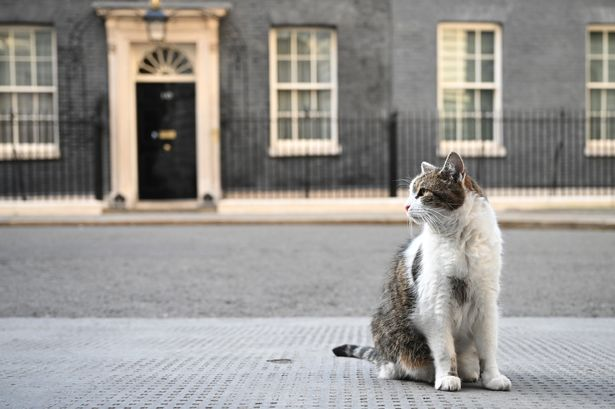 Who is Larry the Cat, the ‘chief mouser’ who welcomed his sixth UK Prime Minister at 10, Downing Street?