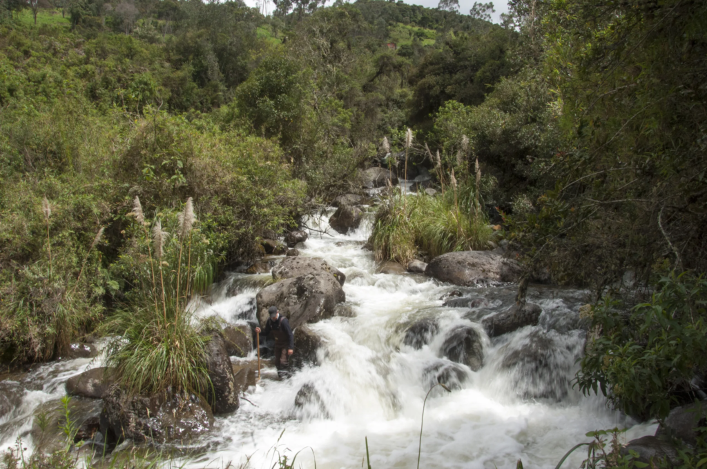 Historic decision: Ecuadorian court rules that pollution has violated the rights of Machángara river