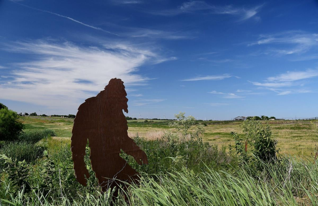 Panicked teens call 911 over Bigfoot sighting in Louisiana forest