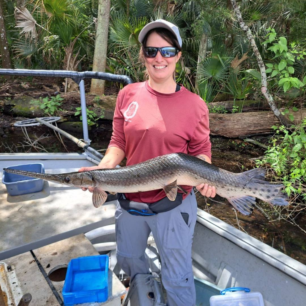 Biologists in Florida capture unusual fish with crooked spine