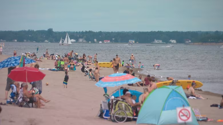 Several NY beaches not recommended for swimming due to E. coli, algae, or enterococci- Check list