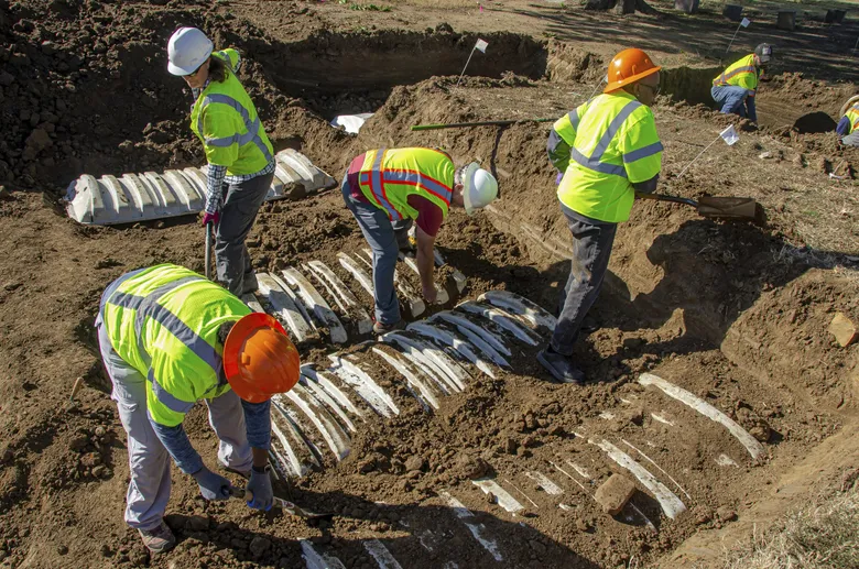 WWI veteran identified as the first victim from the mass graves of the 1921 Tulsa Race Massacre