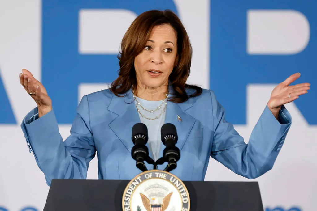 Kamala Harris joins the presidential race: Who could be her running mate?