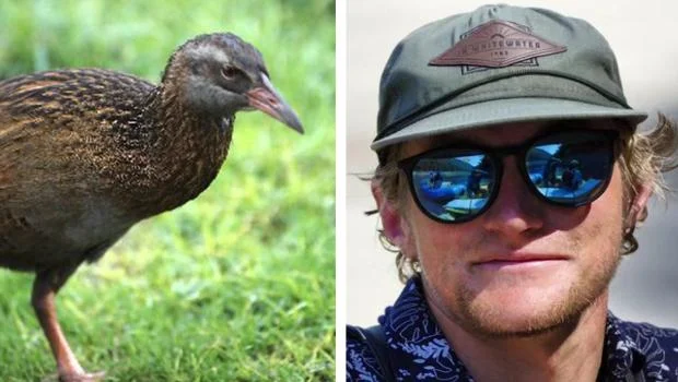 Race to Survive: New Zealand: US reality TV show contestant kills and eats endangered bird 