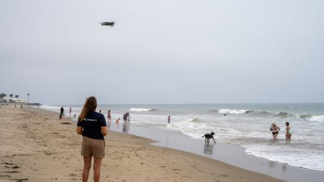 AI drones deployed to protect swimmers as sharks congregate at California beach