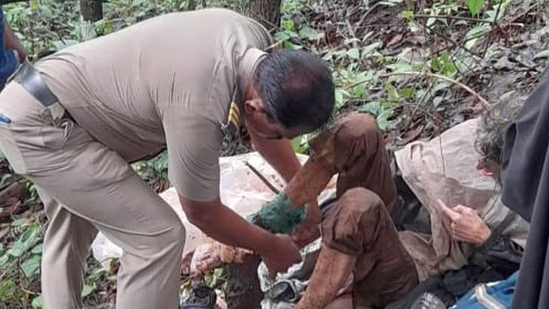 American woman found chained to tree in Indian jungle, rescued by shepherd 