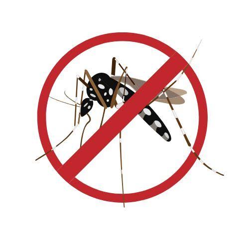 How to ensure optimal platelet count in dengue?