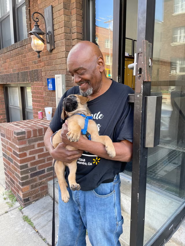 Stolen Cane Corso puppy returned to 78-year-old owner in Minneapolis