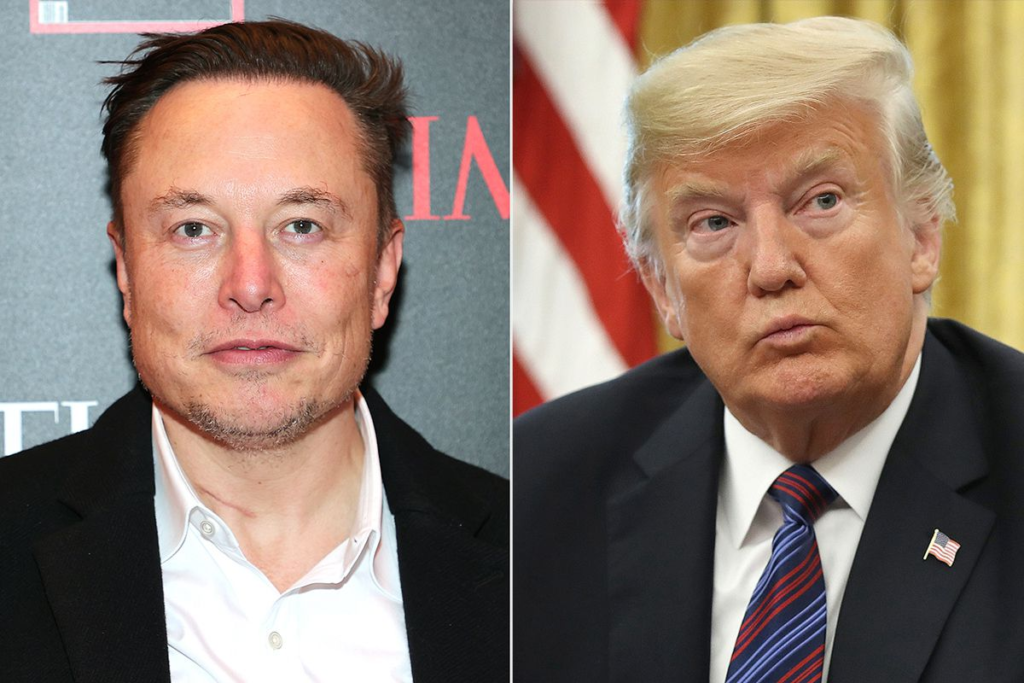 Elon Musk offers to join Trump administration if elected