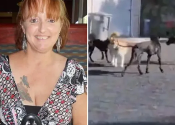 California: Woman tragically killed in vicious attack by ‘pack of 25 Great Danes’