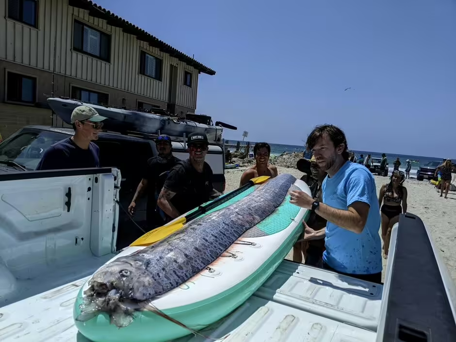 Rare deep-sea doomsday fish found dead off San Diego coast, sparks curiosity