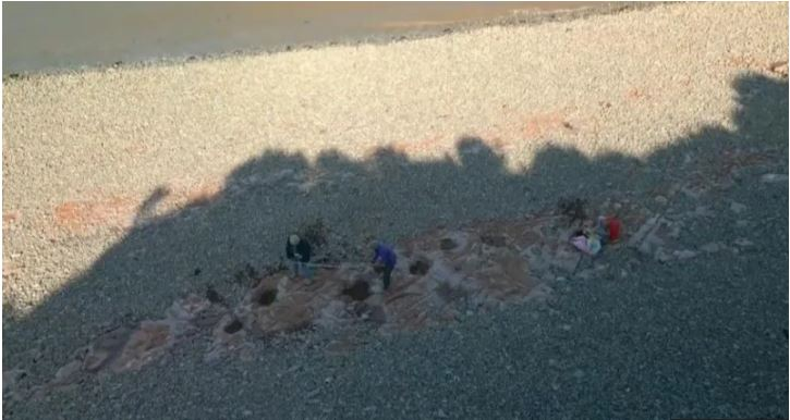 UK girl discovers dinosaur footprints during beach walk: "Cool and exciting"