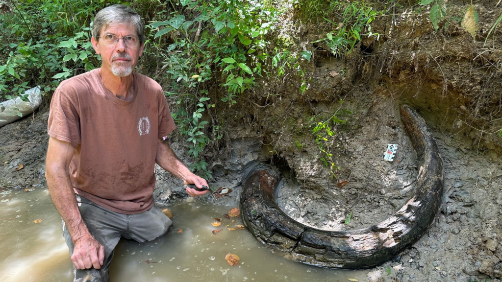 Fossil hunter unearths rare ice-age 7-foot-long mammoth tusk in Mississippi